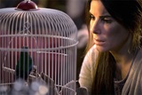 Director Susanne Bier discusses Bird Box
