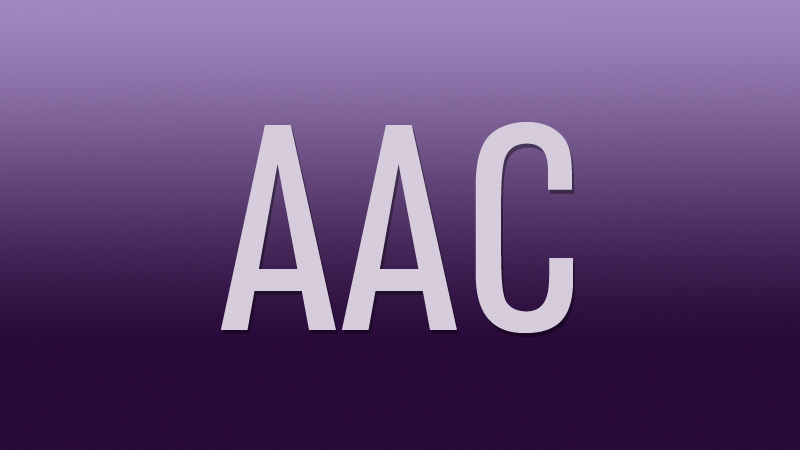 DGA Asian American Committee