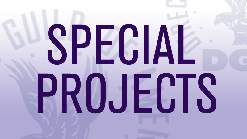 DGA Special Projects Committee